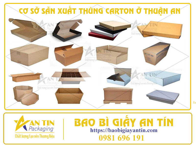 Khám Phá Tận Nơi Cơ Sở Sản Xuất Thùng Carton Ở Thuận An
