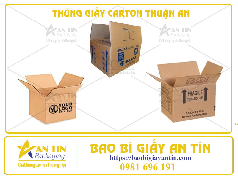 Kiểu Dáng Hiện Đại, Chất Liệu Cao Cấp - Thùng Giấy Carton Thuận An