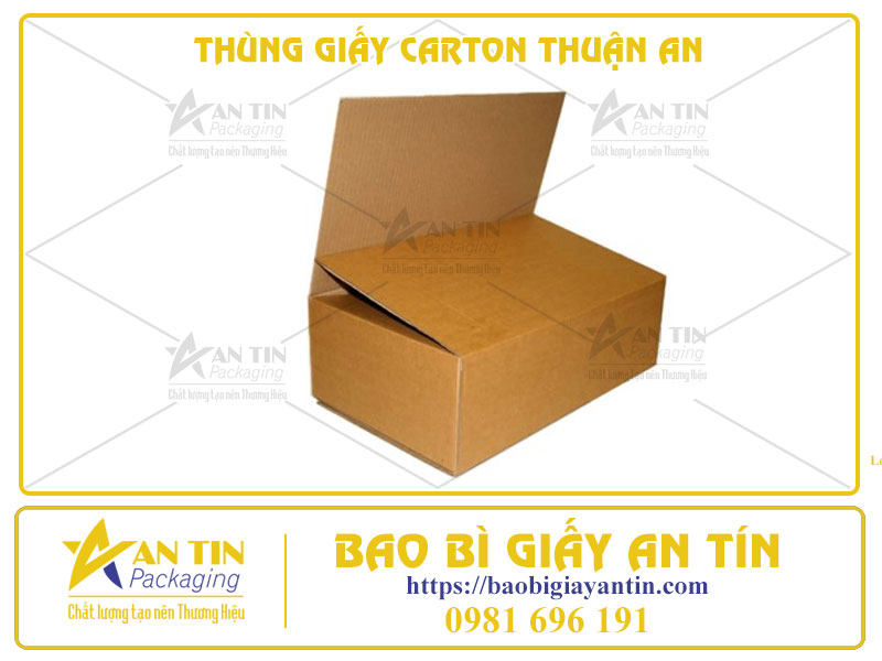 Kiểu Dáng Hiện Đại, Chất Liệu Cao Cấp - Thùng Giấy Carton Thuận An