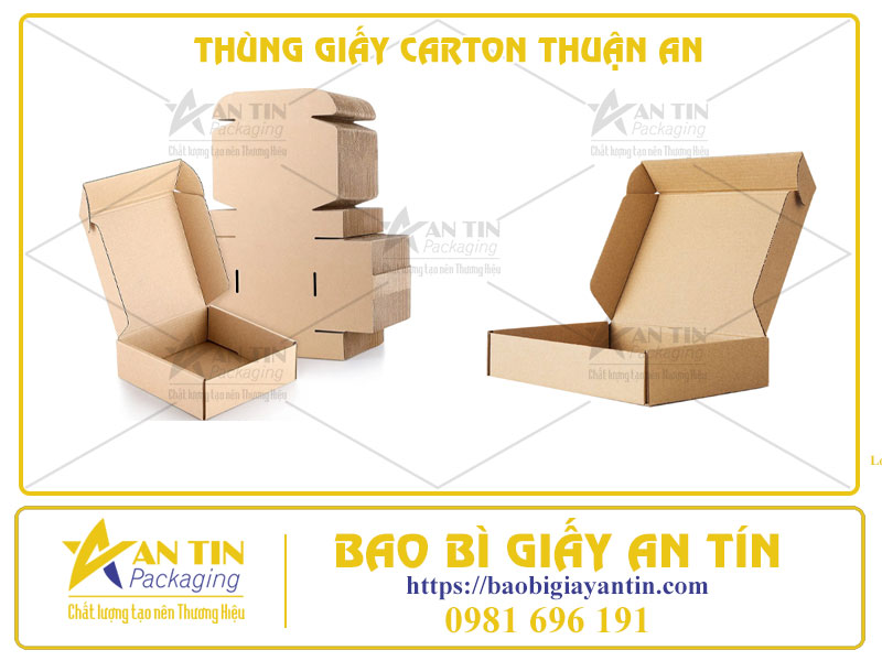 Kiểu Dáng Hiện Đại, Chất Liệu Cao Cấp - Thùng Giấy Carton Thuận An