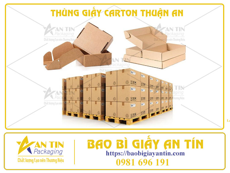 Kiểu Dáng Hiện Đại, Chất Liệu Cao Cấp - Thùng Giấy Carton Thuận An