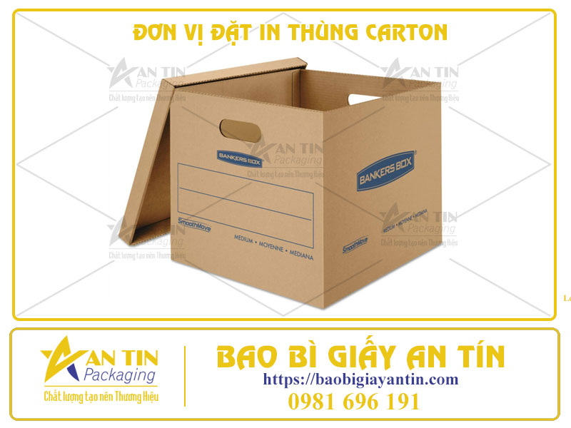 Làm Sao Để Chọn Đơn Vị Đặt In Thùng Carton Theo Yêu Cầu Của Doanh Nghiệp