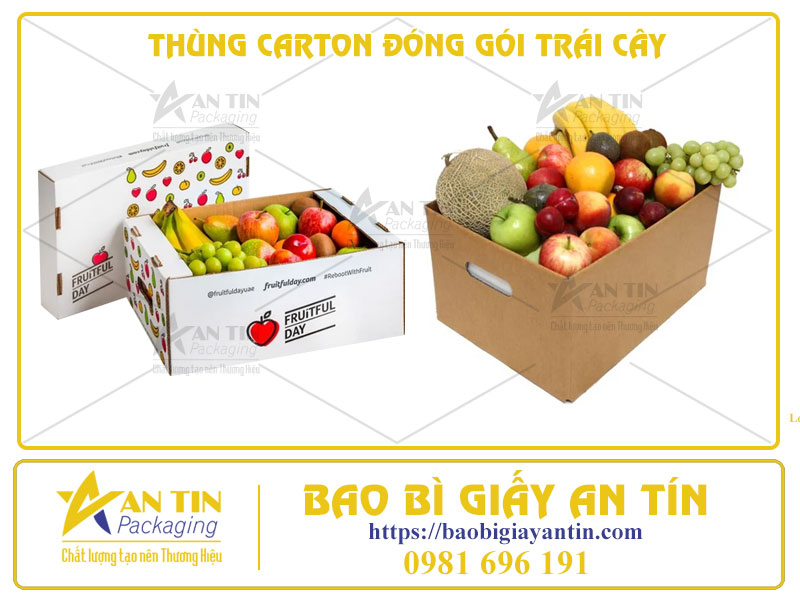 Làm Thế Nào Để Chọn Thùng Carton Phù Hợp Cho Từng Loại Trái Cây