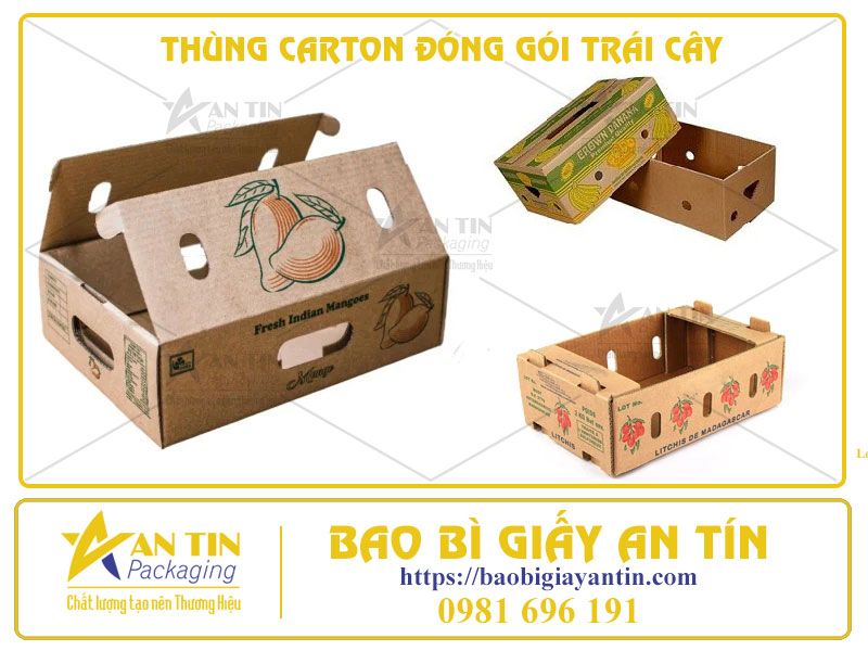 Làm Thế Nào Để Chọn Thùng Carton Phù Hợp Cho Từng Loại Trái Cây