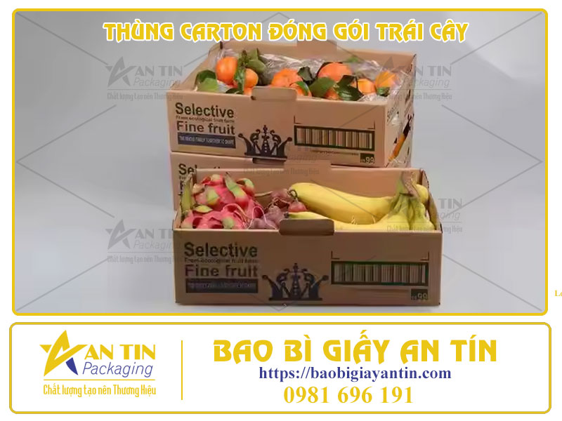 Làm Thế Nào Để Chọn Thùng Carton Phù Hợp Cho Từng Loại Trái Cây