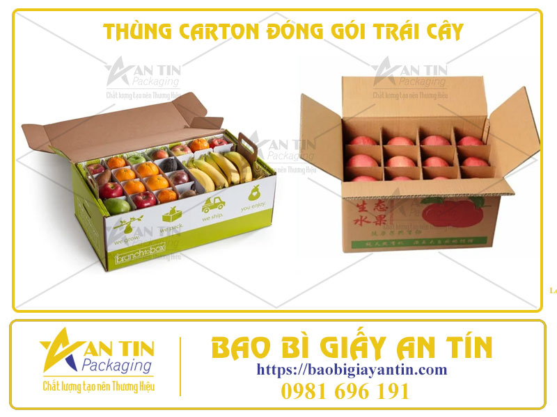 Làm Thế Nào Để Chọn Thùng Carton Phù Hợp Cho Từng Loại Trái Cây