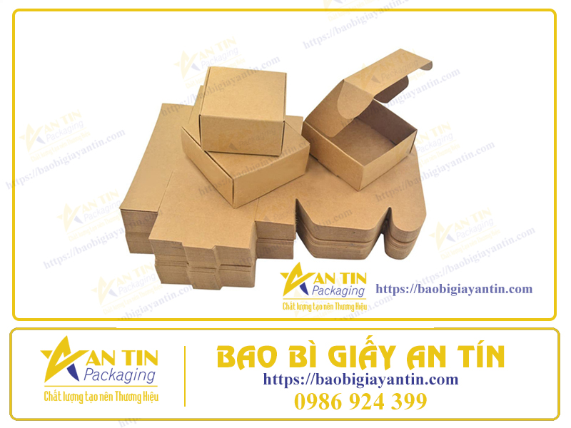Mua Hộp Carton Biên Hòa Ở Đâu - Gọi Ngay Bao Bì An Tín Để Có Mức Giá Tốt