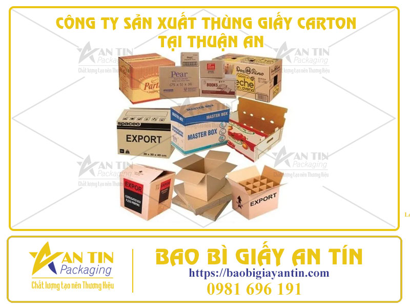 Nâng Tầm Bảo Bì Với Công Ty Sản Xuất Thùng Giấy Carton Đẳng Cấp Tại Thuận An