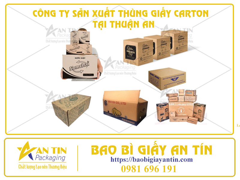 Nâng Tầm Bảo Bì Với Công Ty Sản Xuất Thùng Giấy Carton Đẳng Cấp Tại Thuận An