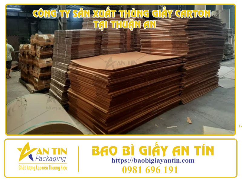 Nâng Tầm Bảo Bì Với Công Ty Sản Xuất Thùng Giấy Carton Đẳng Cấp Tại Thuận An