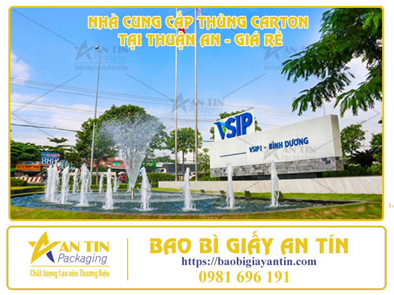 Nhà Cung Cấp Thùng Carton Tại Thuận An - Giá Rẻ, Chất Lượng, Giao Hàng Tận Nơi