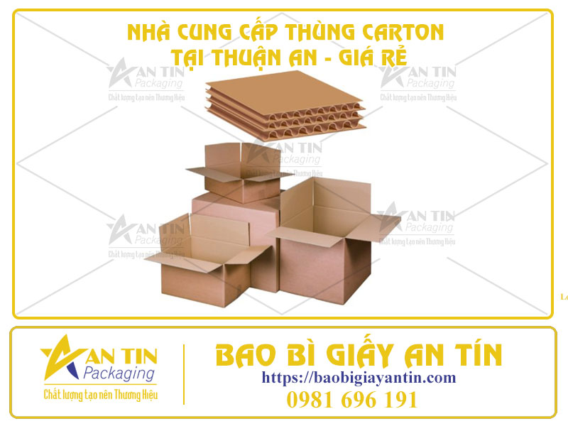 Nhà Cung Cấp Thùng Carton Tại Thuận An - Giá Rẻ, Chất Lượng, Giao Hàng Tận Nơi