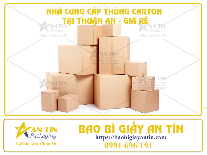 Nhà Cung Cấp Thùng Carton Tại Thuận An - Giá Rẻ, Chất Lượng, Giao Hàng Tận Nơi