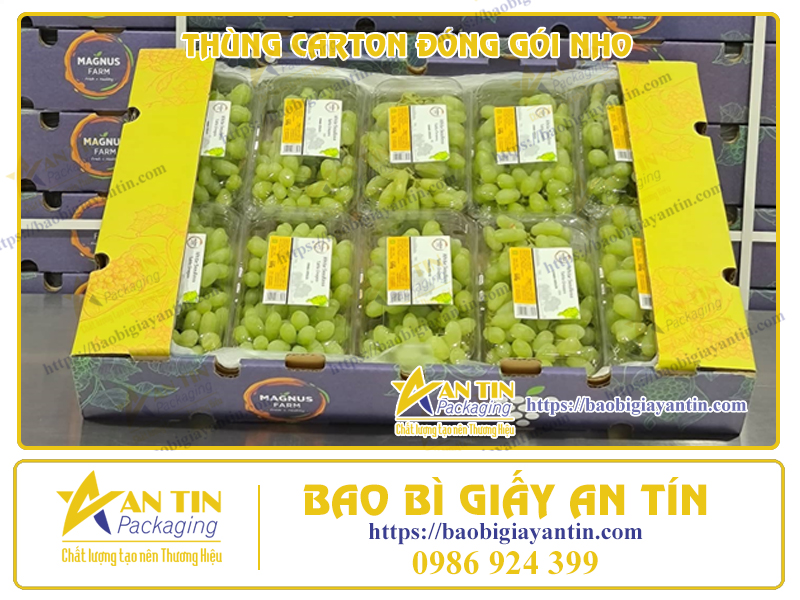Nho Tươi Từ Vườn Đến Bàn Ăn Cùng Thùng Carton Đóng Gói Chuyên Dụng