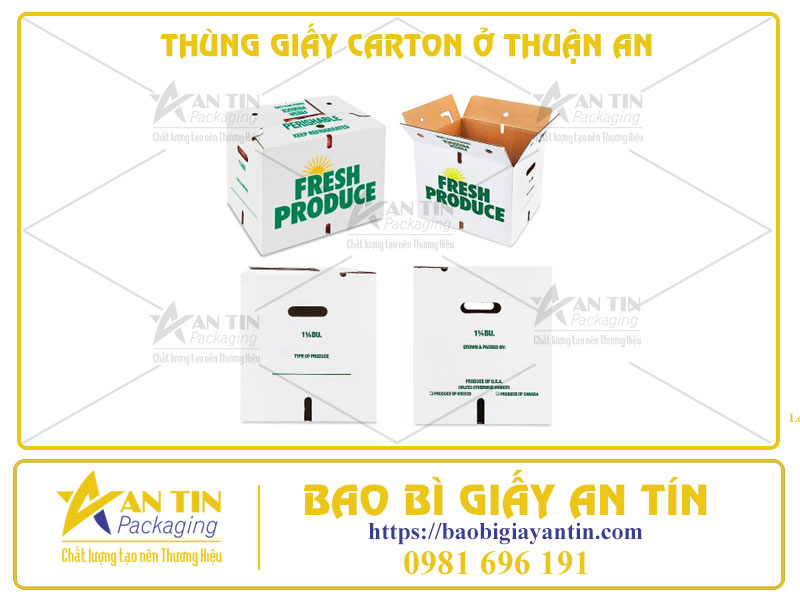 Phân Loại Thùng Giấy Carton Ở Thuận An Theo Số Lớp Ứng Với Nhu Cầu Sử Dụng