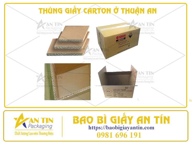 Phân Loại Thùng Giấy Carton Ở Thuận An Theo Số Lớp Ứng Với Nhu Cầu Sử Dụng