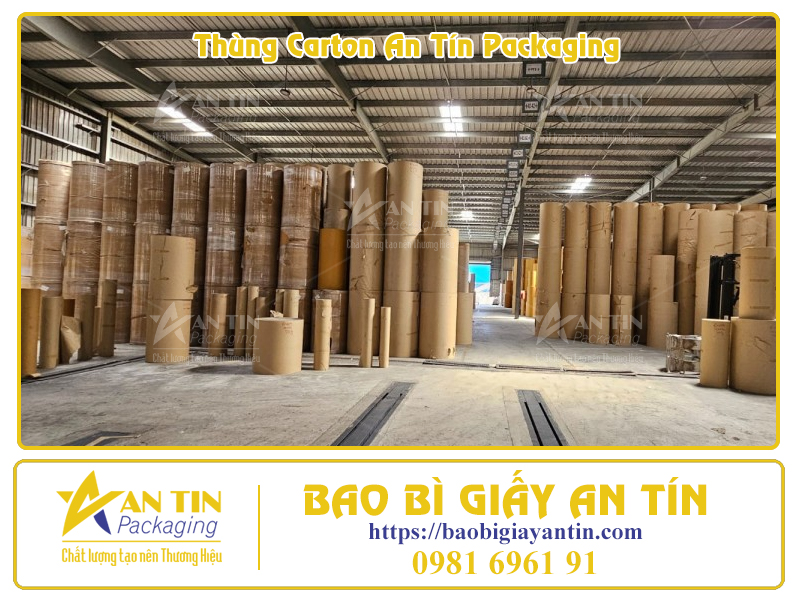 Phân Loại Thùng Giấy Lớn Theo Thiết Kế Thẩm Mỹ Phân Loại Thùng Giấy Lớn Theo Thiết Kế Thẩm Mỹ