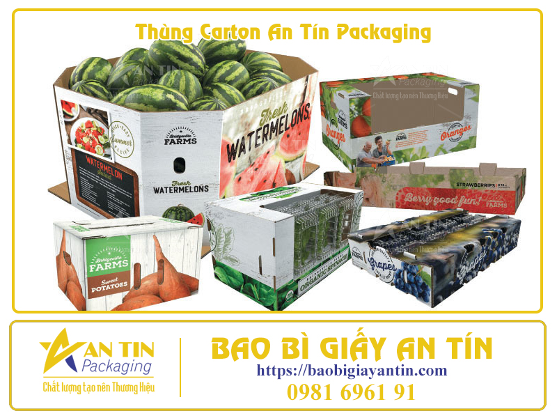 Phân Loại Thùng Giấy Lớn Theo Thiết Kế Thẩm Mỹ Phân Loại Thùng Giấy Lớn Theo Thiết Kế Thẩm Mỹ