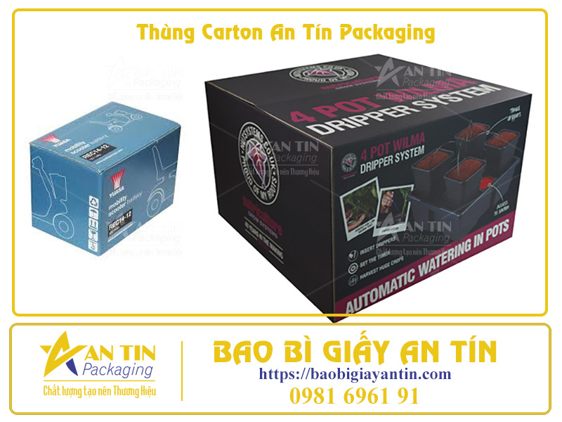 Phân Loại Thùng Giấy Lớn Theo Thiết Kế Thẩm Mỹ Phân Loại Thùng Giấy Lớn Theo Thiết Kế Thẩm Mỹ