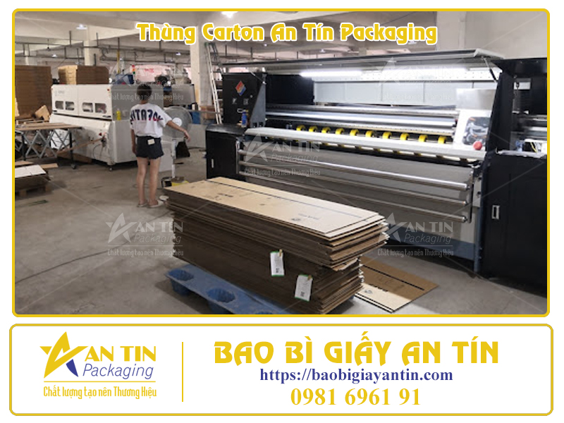 Phân Loại Thùng Giấy Lớn Theo Thiết Kế Thẩm Mỹ Phân Loại Thùng Giấy Lớn Theo Thiết Kế Thẩm Mỹ