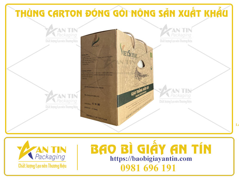 Phân Tích Ưu Điểm Và Nhược Điểm Của Thùng Carton Đóng Gói Nông Sản Xuất Khẩu