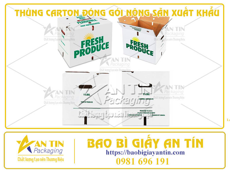 Phân Tích Ưu Điểm Và Nhược Điểm Của Thùng Carton Đóng Gói Nông Sản Xuất Khẩu