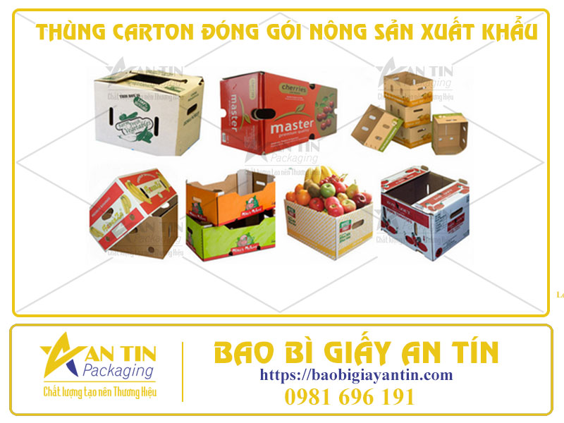 Phân Tích Ưu Điểm Và Nhược Điểm Của Thùng Carton Đóng Gói Nông Sản Xuất Khẩu