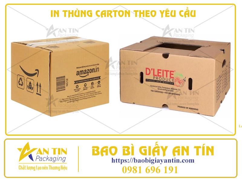 Quảng Bá Tối Ưu Khi In Thùng Carton Theo Yêu Cầu Giải Pháp Hoàn Hảo Cho Doanh Nghiệp