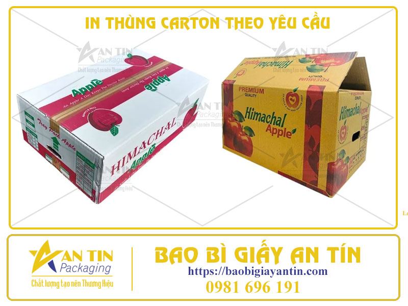 Quảng Bá Tối Ưu Khi In Thùng Carton Theo Yêu Cầu Giải Pháp Hoàn Hảo Cho Doanh Nghiệp