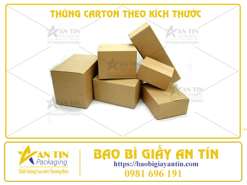 Sự Quan Trọng của Thùng Carton Theo Kích Thước Cho Sản Phẩm Của Bạn