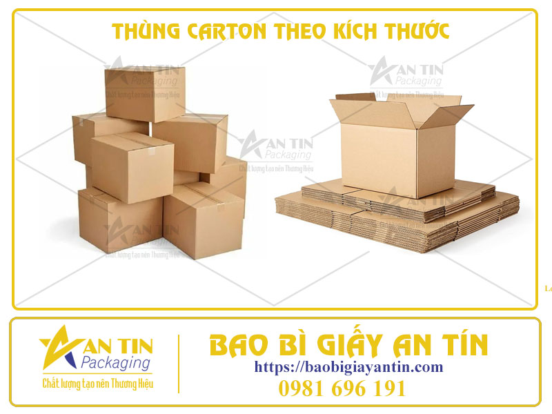 Sự Quan Trọng của Thùng Carton Theo Kích Thước Cho Sản Phẩm Của Bạn