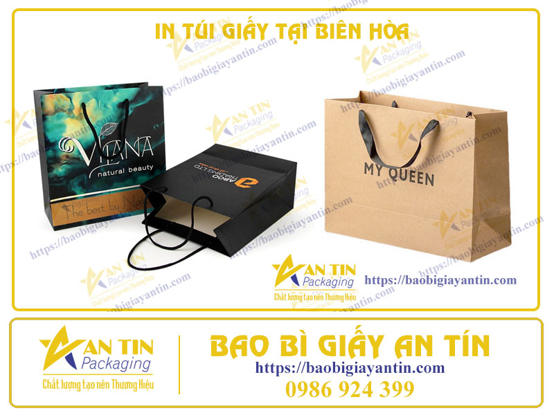Tại Sao Xu Hướng In Túi Giấy Lại Phát Triển Mạnh Mẽ Tại Biên Hòa