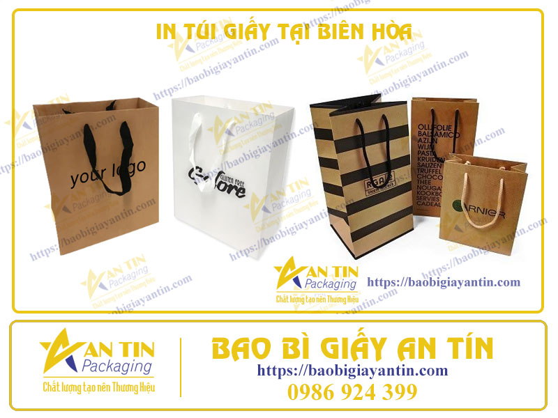 Tại Sao Xu Hướng In Túi Giấy Lại Phát Triển Mạnh Mẽ Tại Biên Hòa