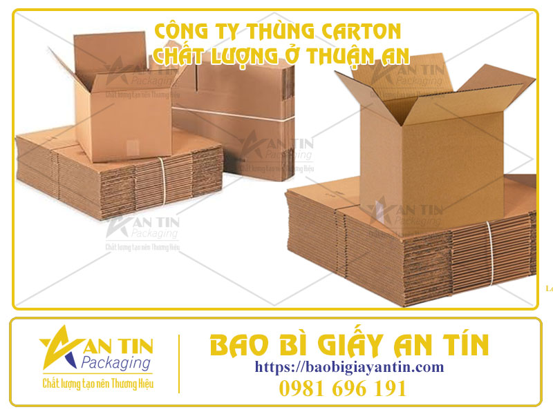 Tầm Quan Trọng Của Việc Tìm Đối Tác Công Ty Thùng Carton Chất Lượng Ở Thuận An