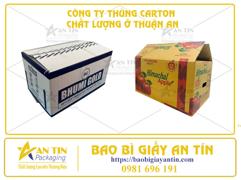 Tầm Quan Trọng Của Việc Tìm Đối Tác Công Ty Thùng Carton Chất Lượng Ở Thuận An
