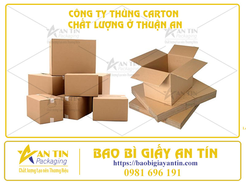 Tầm Quan Trọng Của Việc Tìm Đối Tác Công Ty Thùng Carton Chất Lượng Ở Thuận An