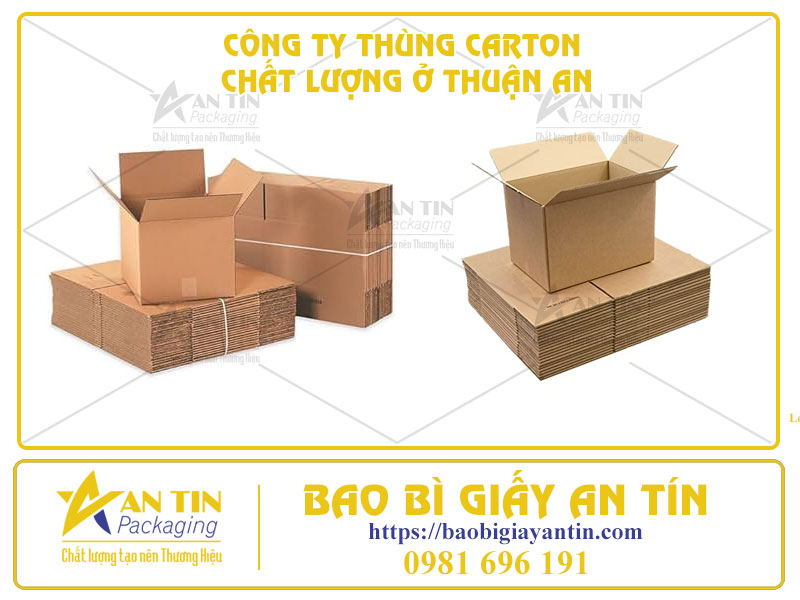 Tầm Quan Trọng Của Việc Tìm Đối Tác Công Ty Thùng Carton Chất Lượng Ở Thuận An