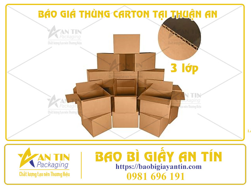 Tham Khảo Báo Giá Thùng Carton Tại Thuận An Giá Rẻ