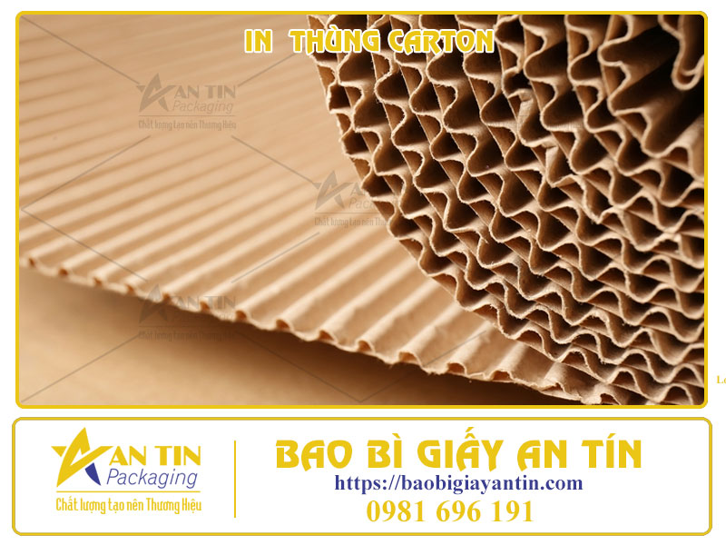 Thiết Kế In Ấn Thùng Carton Bí Quyết Tạo Nên Sự Khác Biệt Cho Sản Phẩm