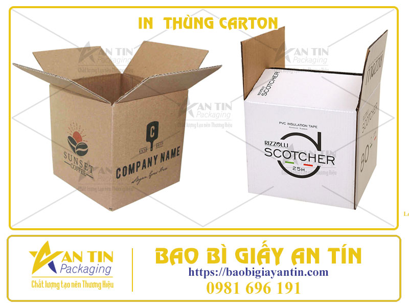 Thiết Kế In Ấn Thùng Carton Bí Quyết Tạo Nên Sự Khác Biệt Cho Sản Phẩm