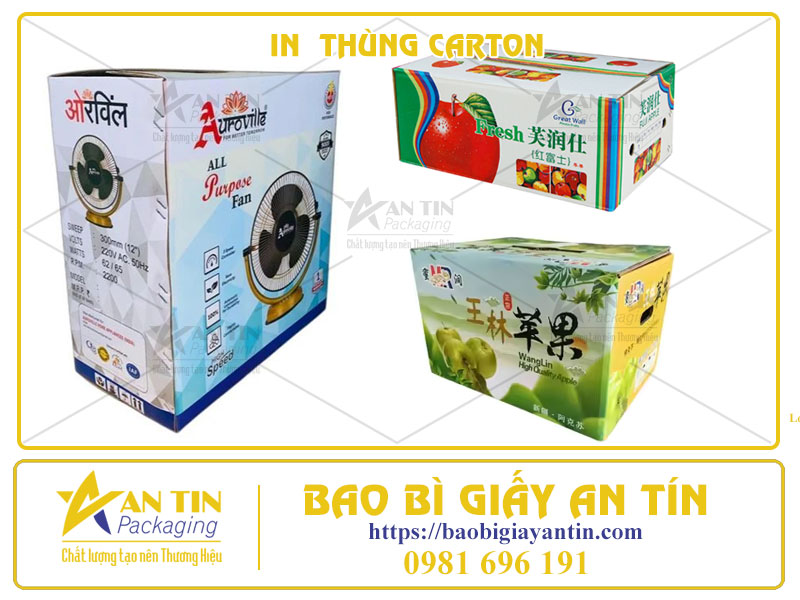 Thiết Kế In Ấn Thùng Carton Bí Quyết Tạo Nên Sự Khác Biệt Cho Sản Phẩm
