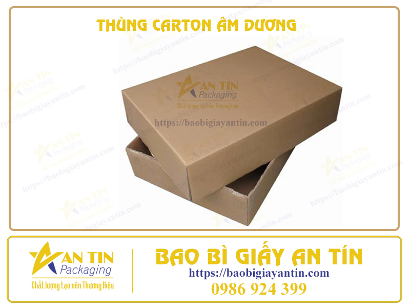 Thiết kế thùng carton âm dương