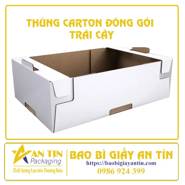 THÙNG CARTON ĐÓNG GÓI TRÁI CÂY