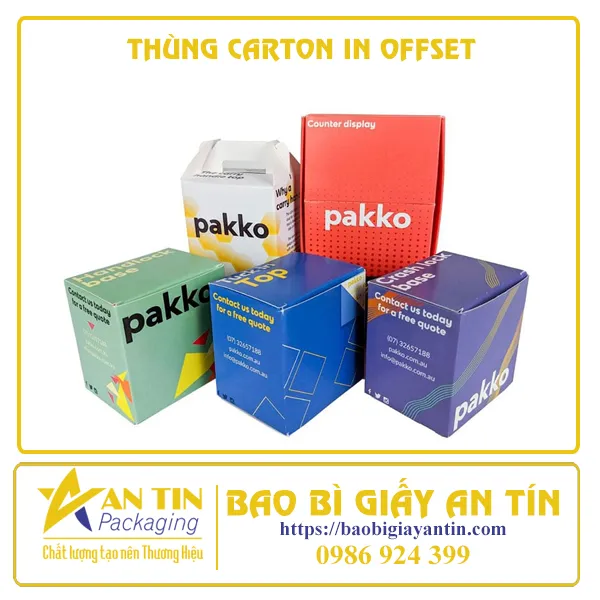 THÙNG CARTON IN OFFSET