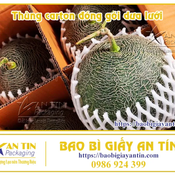Thùng carton đóng gói dưa lưới