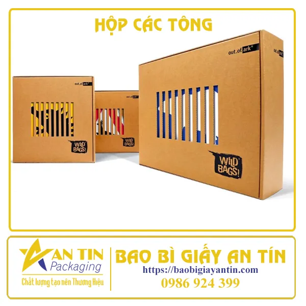 HỘP CÁC TÔNG