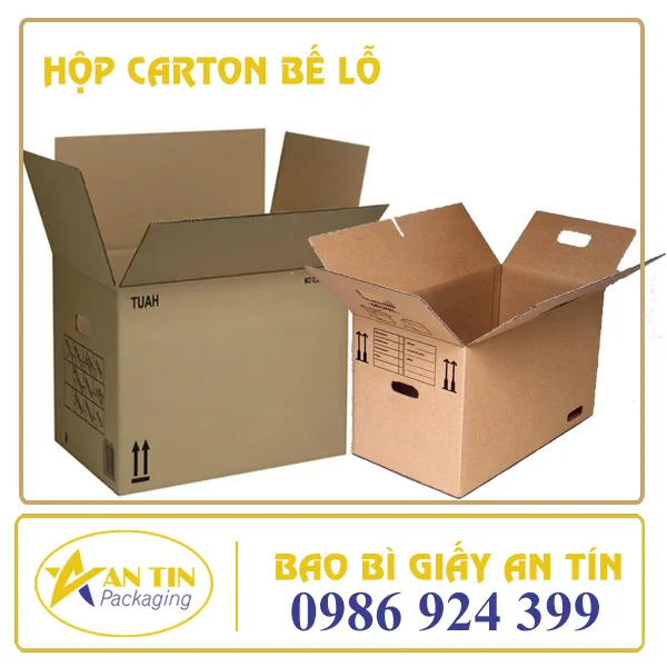 HỘP CARTON BẾ LỖ