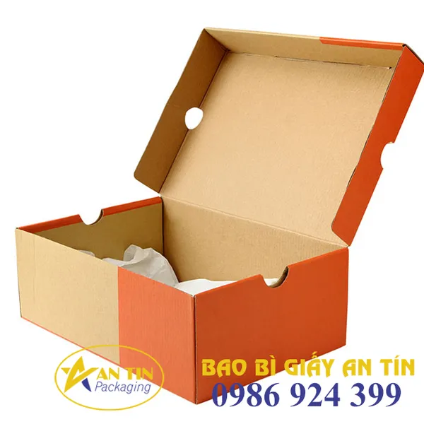 HỘP CARTON NẮP CÀI