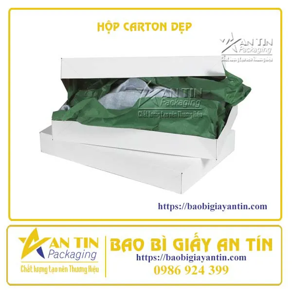 HỘP CARTON DẸP