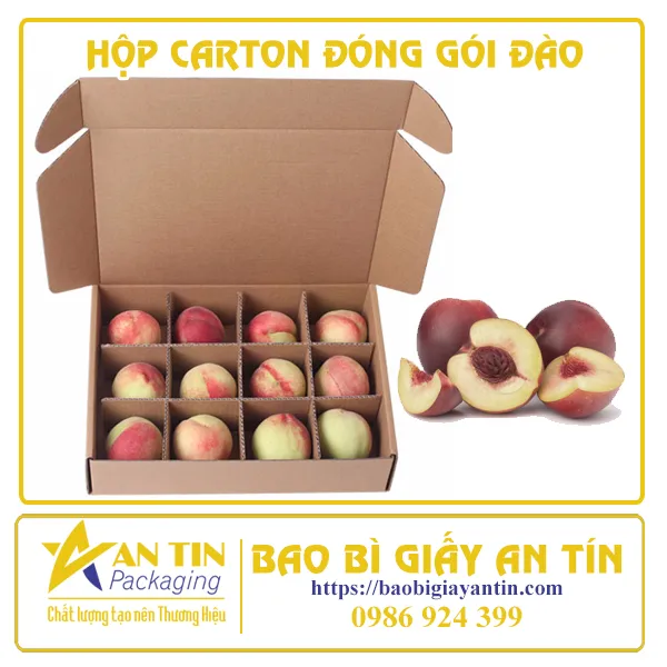 HỘP CARTON ĐÓNG GÓI ĐÀO
